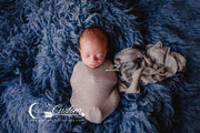 newborn on blue faux fur gray wrap newborn photography 
