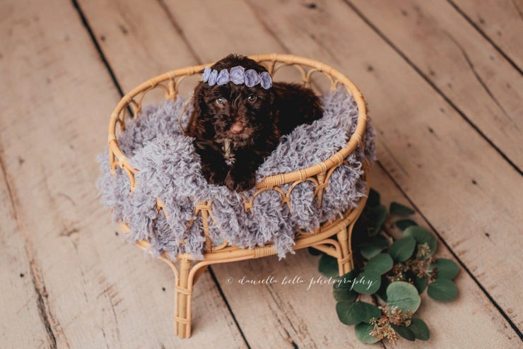 frosted purple, super soft, faux fur with puppy in basket 