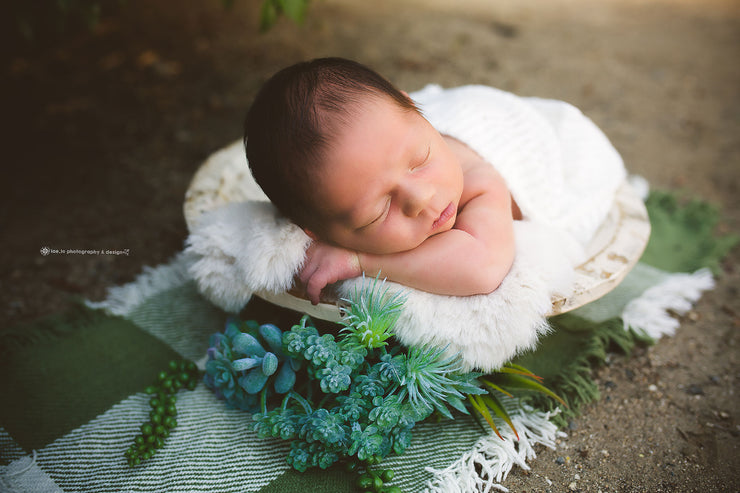 newborn baby boy or girl on white faux rabbit skin pelt in white bowl and succulents. outdoor shoot